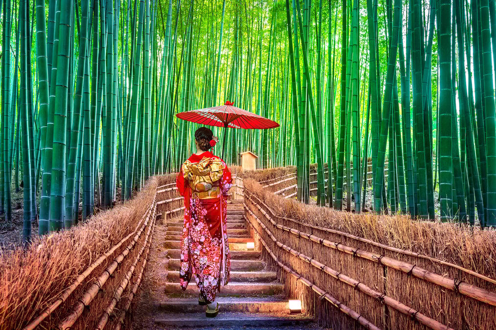 Best Places to Study Abroad in 2019 - Japan